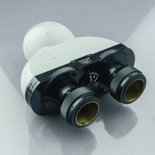 Standard stereo microscope - stereo,