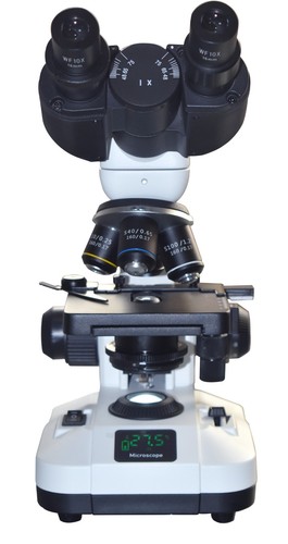 Binocular compound microscope - binocular,