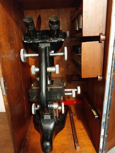1950s bactil binocular - 1950s,