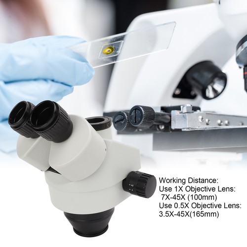 Zoom microscope head with - 1,