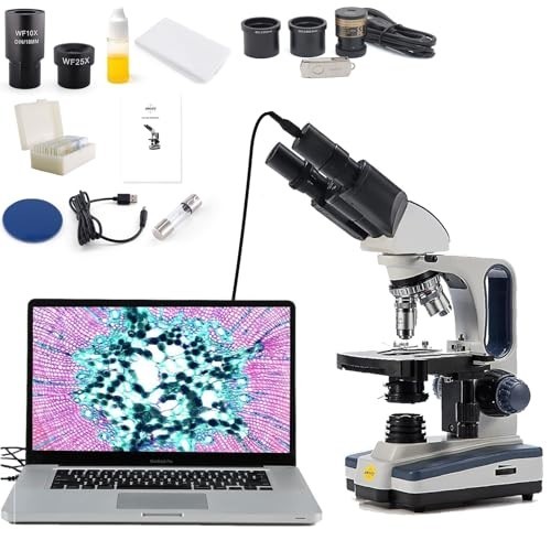 Binocular compound microscope - binocular,