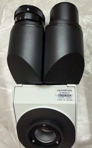 Olympus bi30 binocular - olympus,